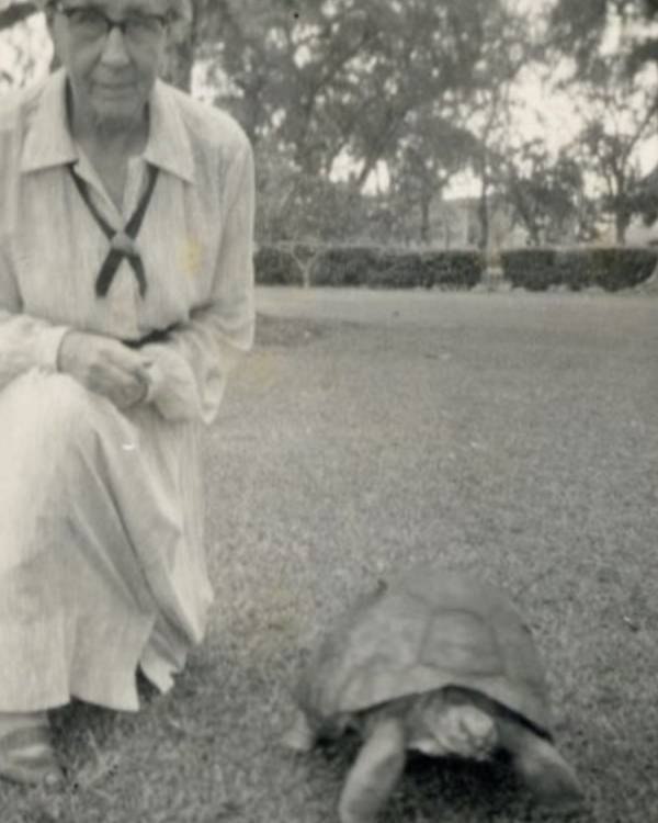Lillian E. Cook.