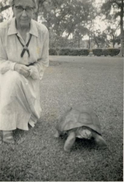Lillian E. Cook